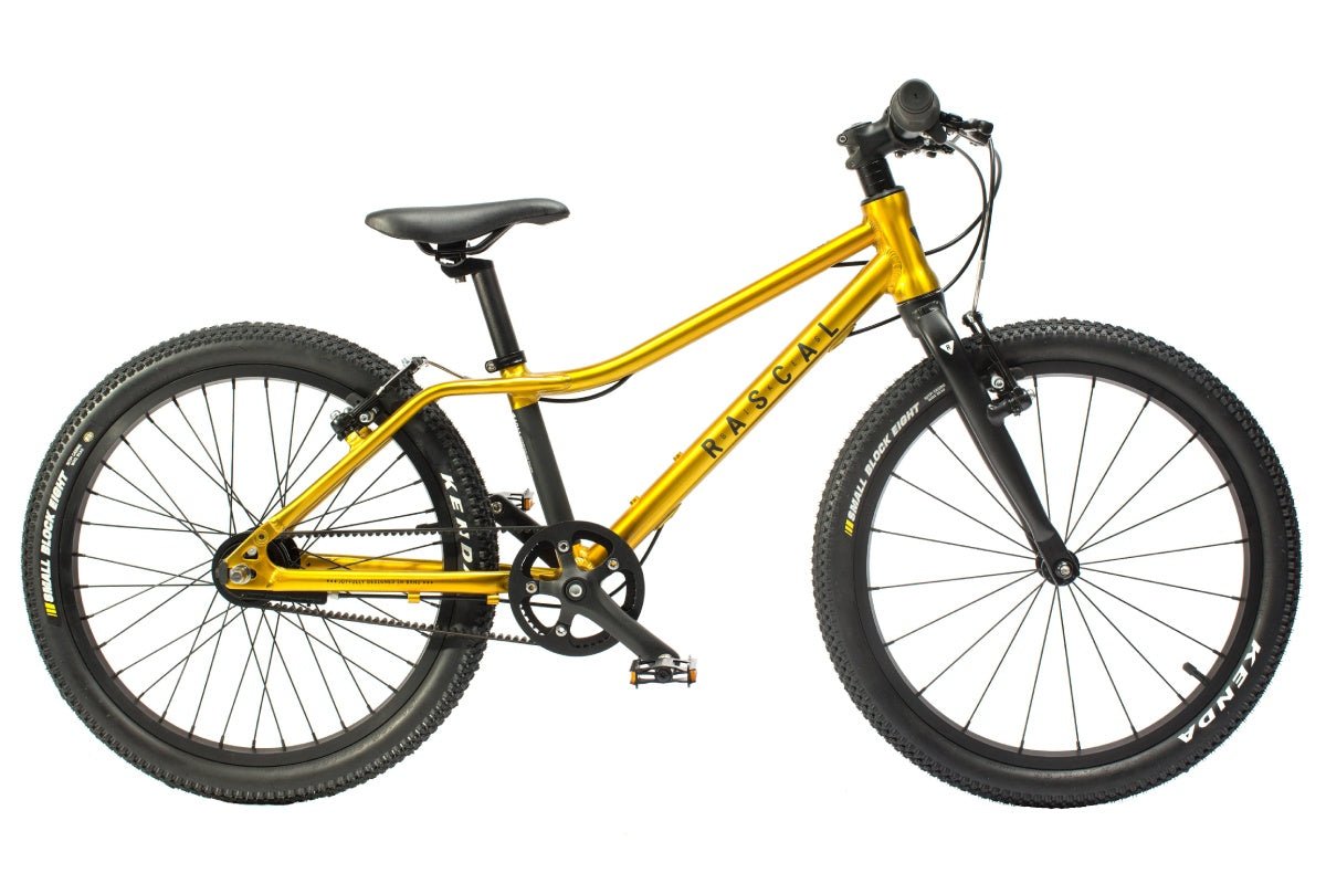 RASCAL 20 אופני ילדים 20 אינץ' - Bikes4Kids