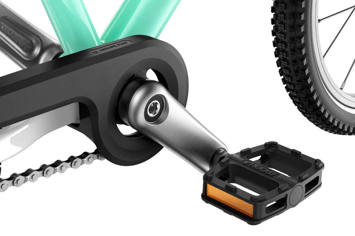 #צבע_מנטה תוסס - מהדורה מוגבלת