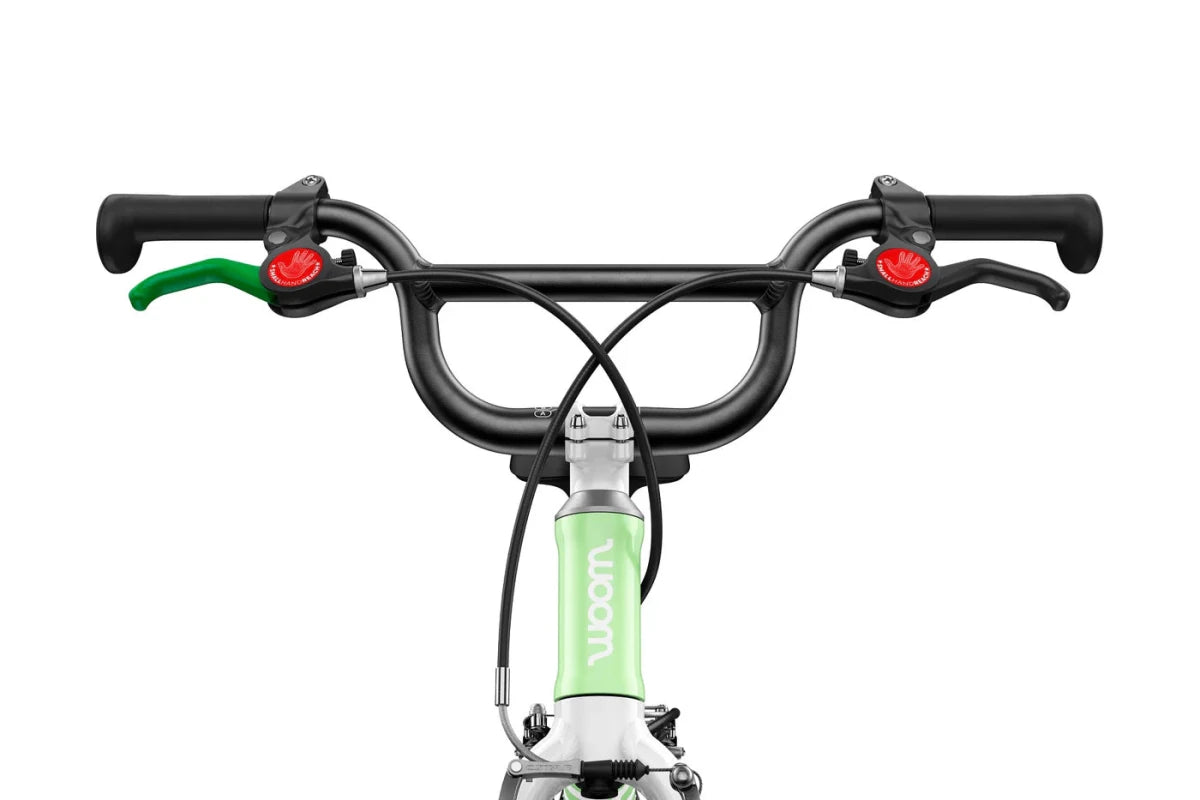 #צבע_מנטה תוסס - מהדורה מוגבלת